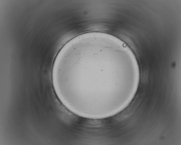 X0000094201338200711241629