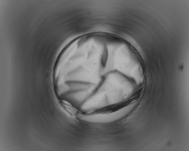 X0000094201339200711241629