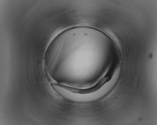 X0000094201340200711241629