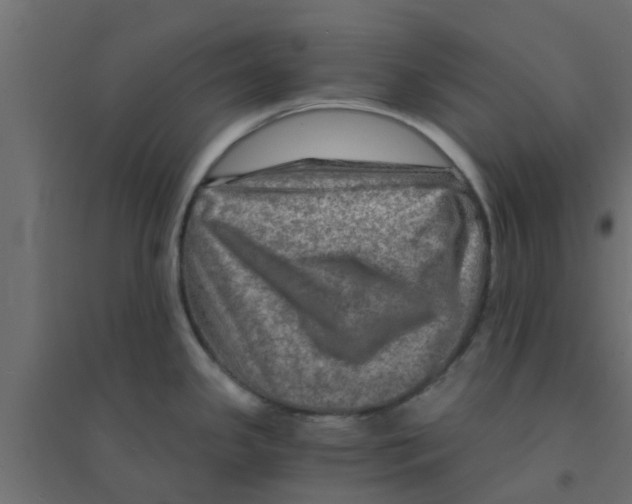 X0000094201341200711241629