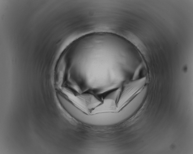 X0000094201342200711241629