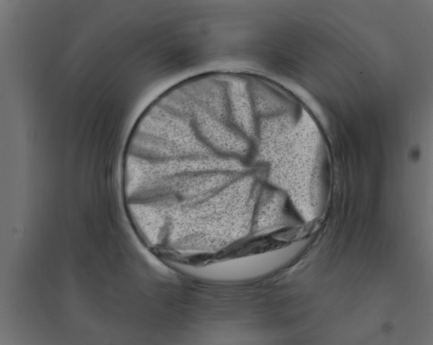X0000094201343200711241629
