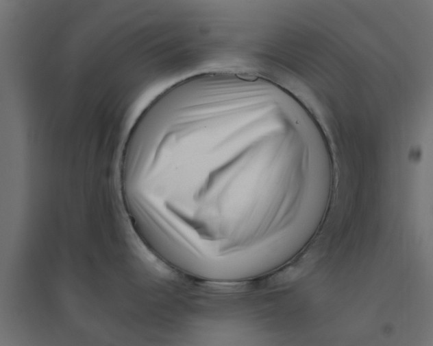X0000094201344200711241629