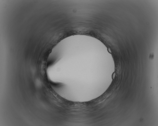 X0000094201346200711241628