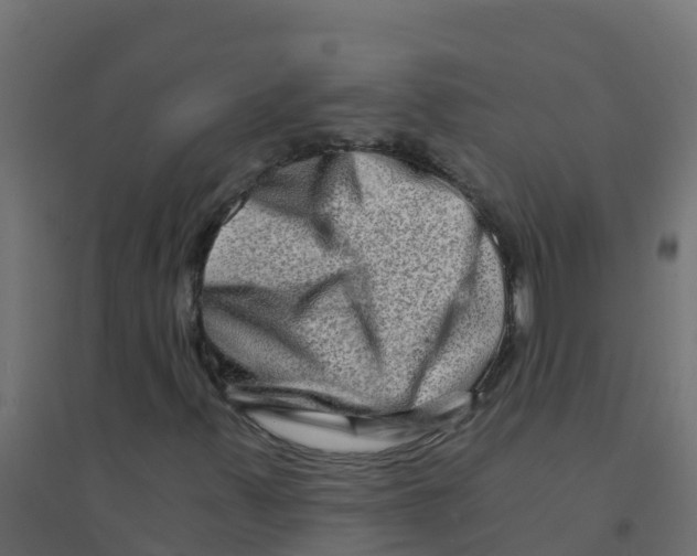 X0000094201347200711241628