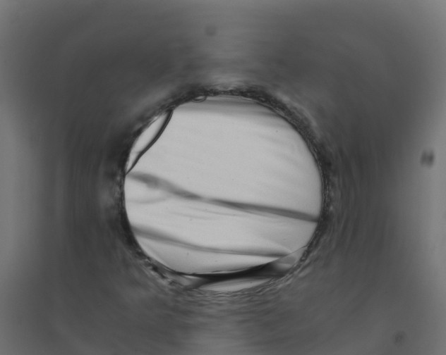 X0000094201349200711241628