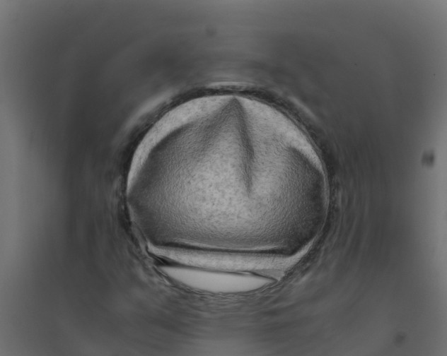 X0000094201351200711241628