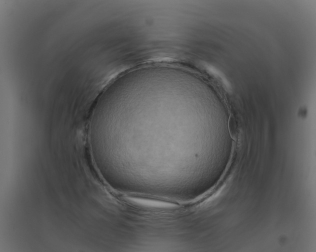 X0000094201353200711241628