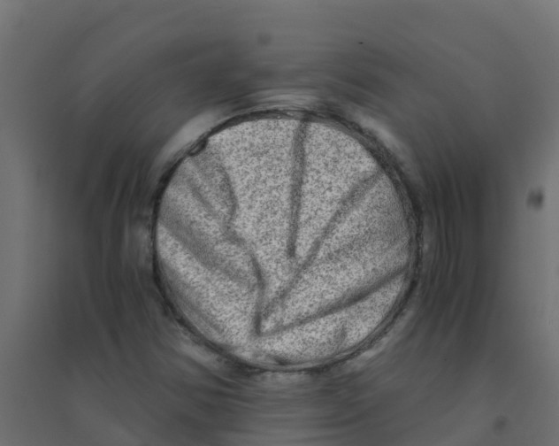 X0000094201354200711241628