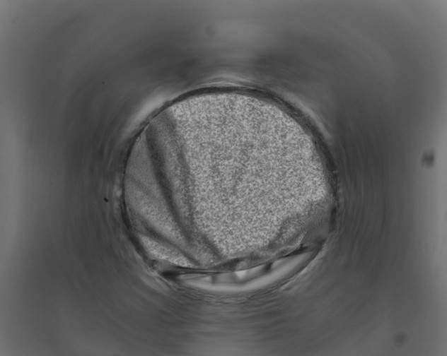 X0000094201355200711241628