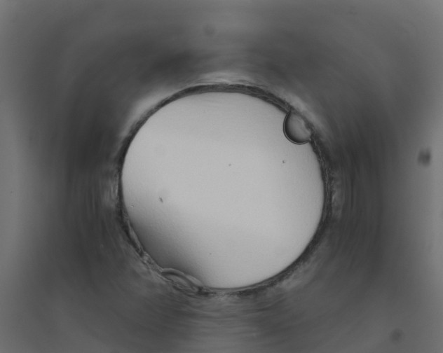 X0000094201358200711241628