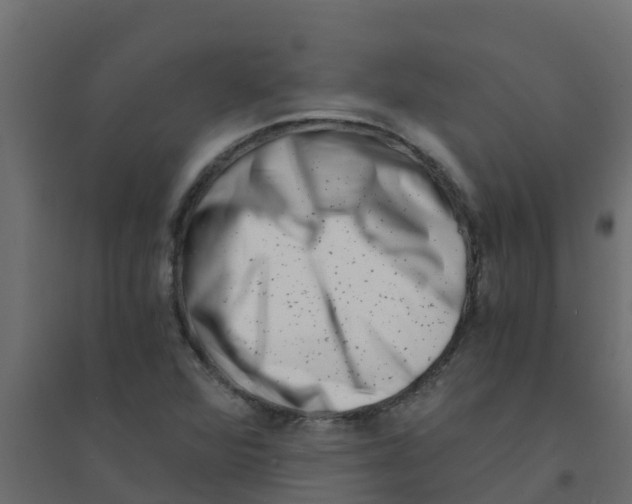 X0000094201360200711241628