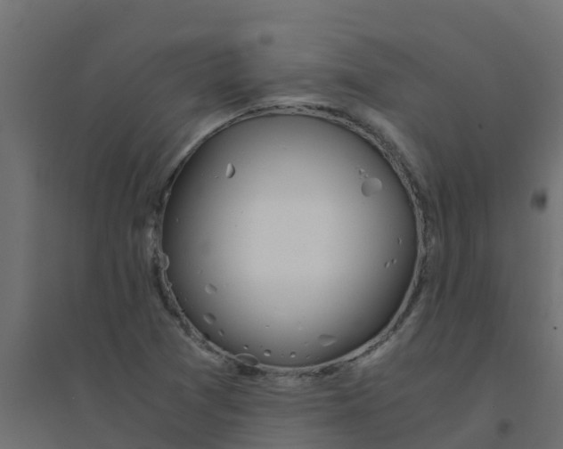 X0000094201361200711241628