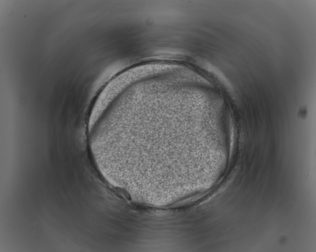 X0000094201362200711241628