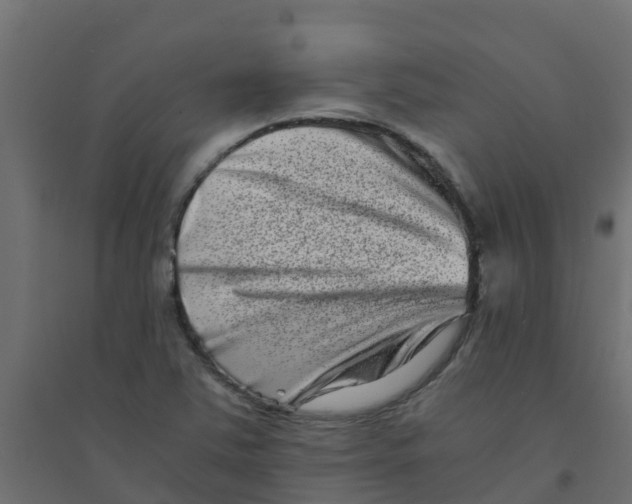 X0000094201363200711241628