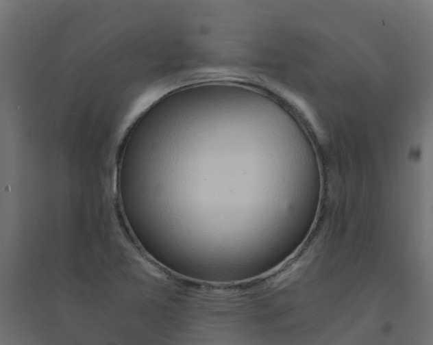 X0000094201365200711241628