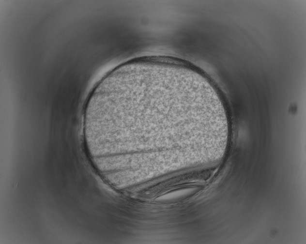 X0000094201366200711241628