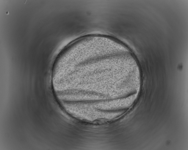 X0000094201367200711241628