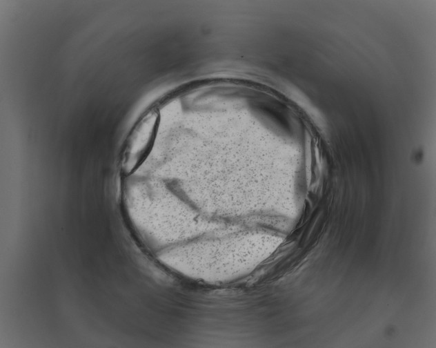 X0000094201368200711241628