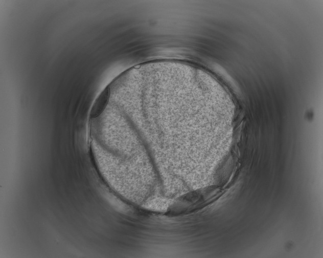 X0000094201370200711241628