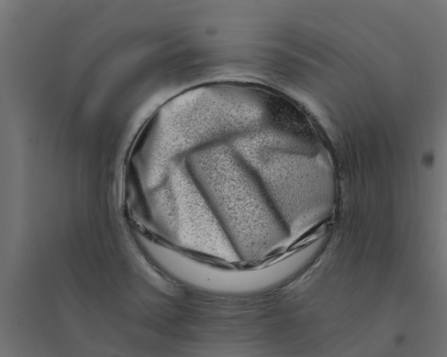 X0000094201371200711241628