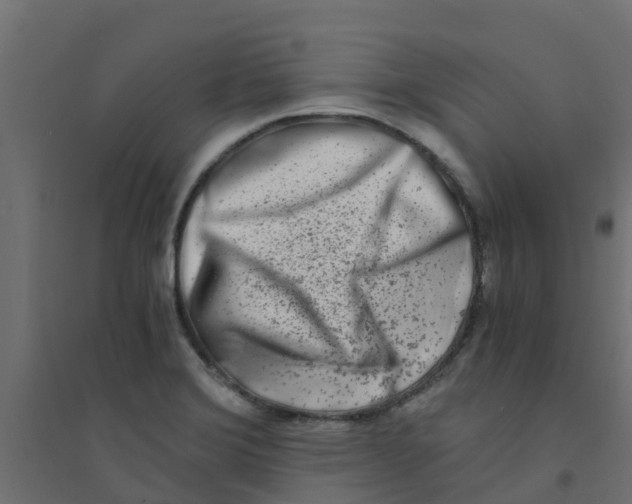 X0000094201372200711241628