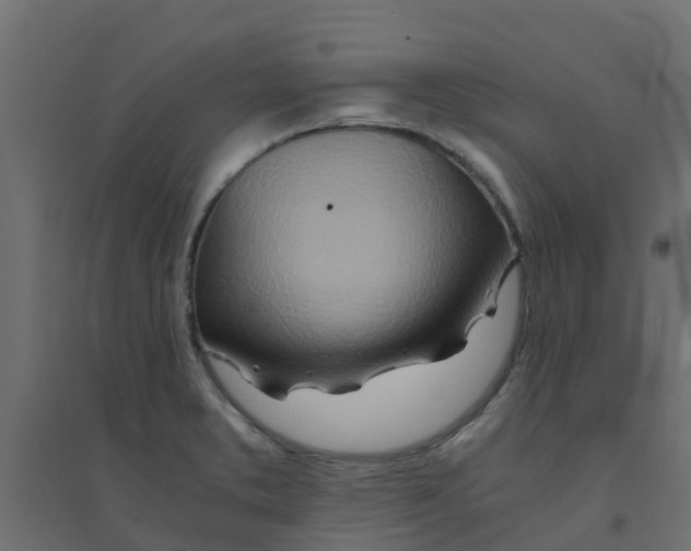 X0000094201373200711241628