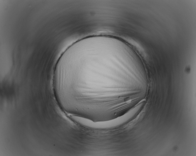 X0000094201374200711241628