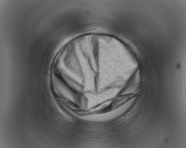 X0000094201375200711241628