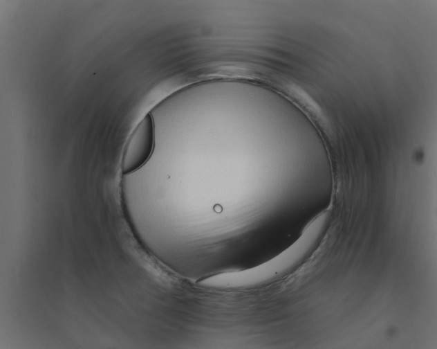 X0000094201378200711241627