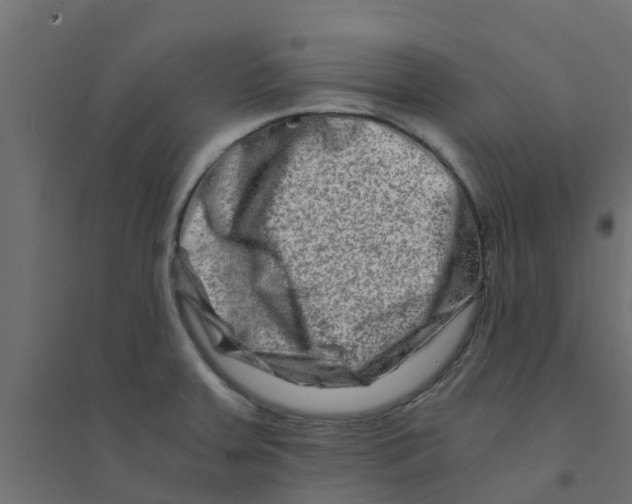 X0000094201379200711241627