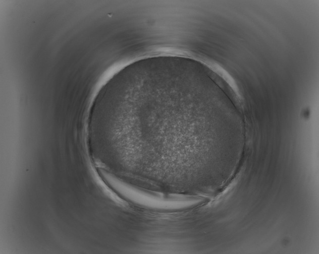 X0000094201381200711241627