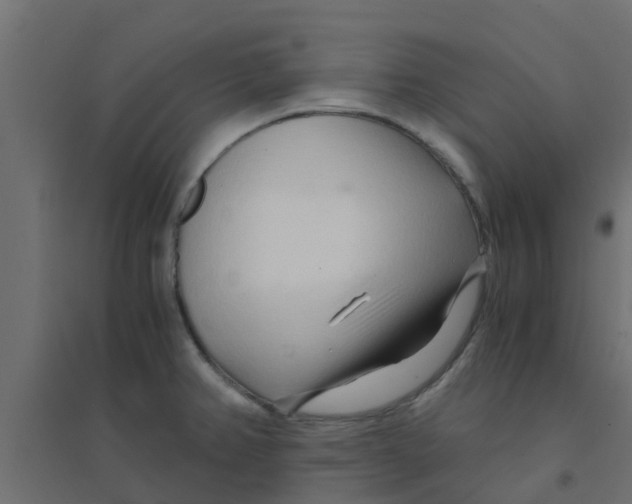 X0000094201382200711241627