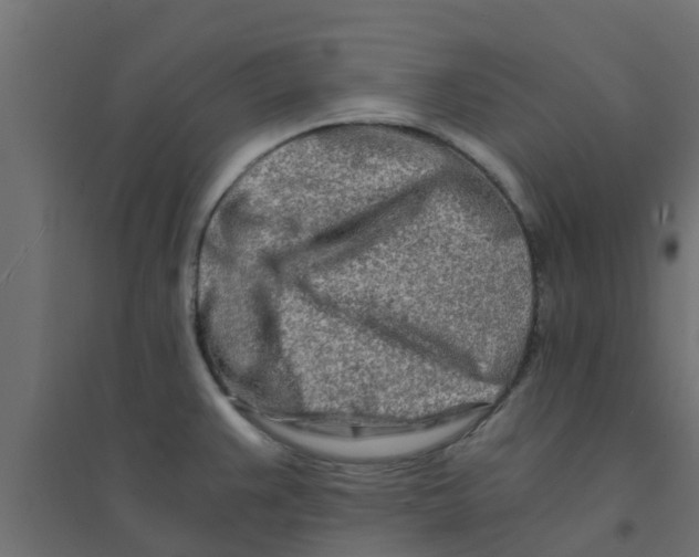 X0000094201383200711241627