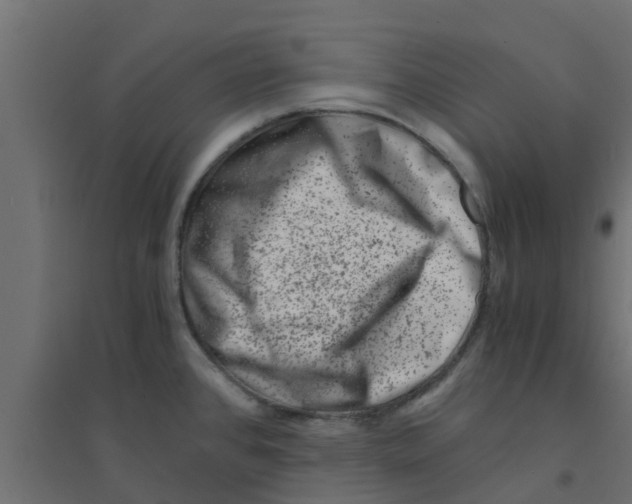 X0000094201384200711241627