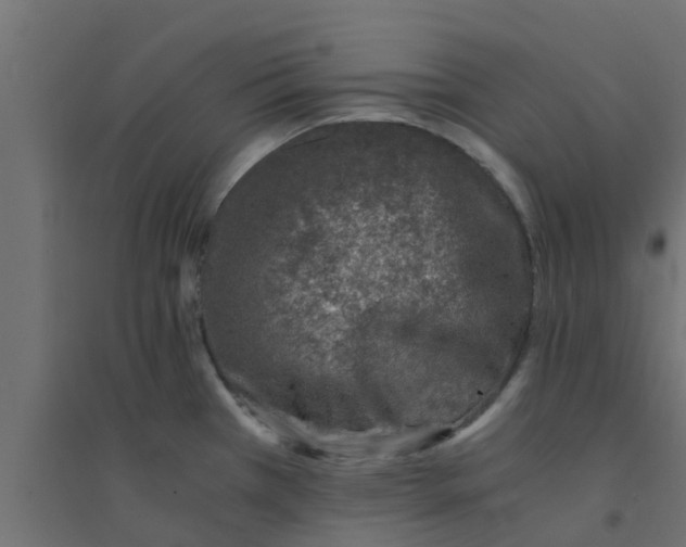 X0000094201385200711241627