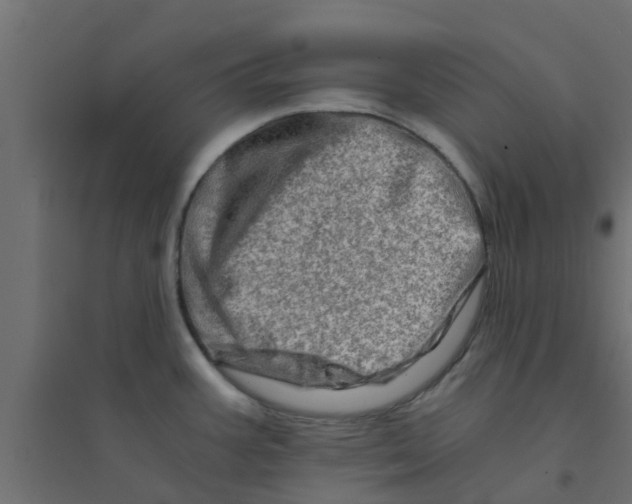 X0000094201387200711241627