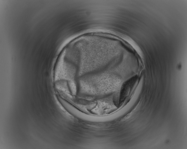 X0000094201388200711241627