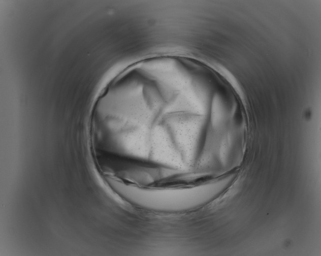 X0000094201389200711241627