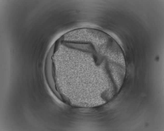 X0000094201391200711241627