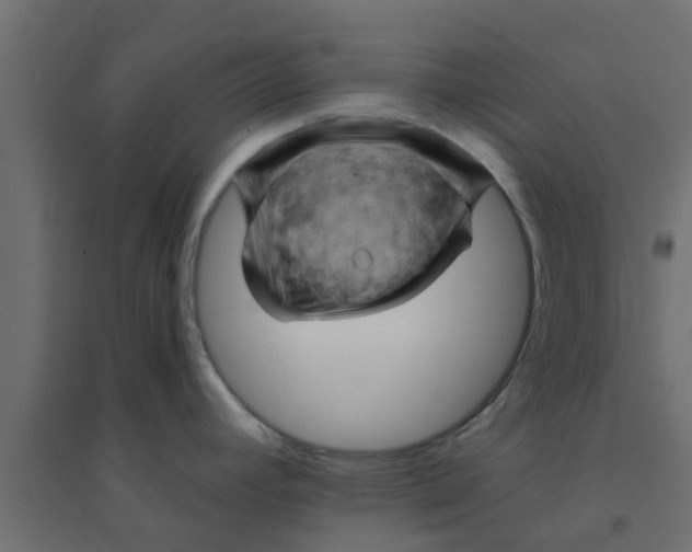 X0000094201392200711241627