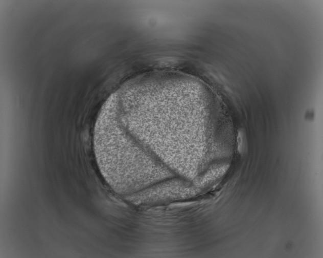 X0000094201395200711241627