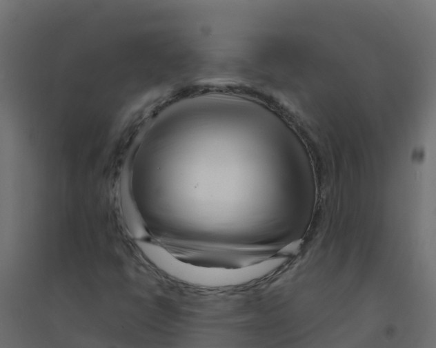 X0000094201398200711241627