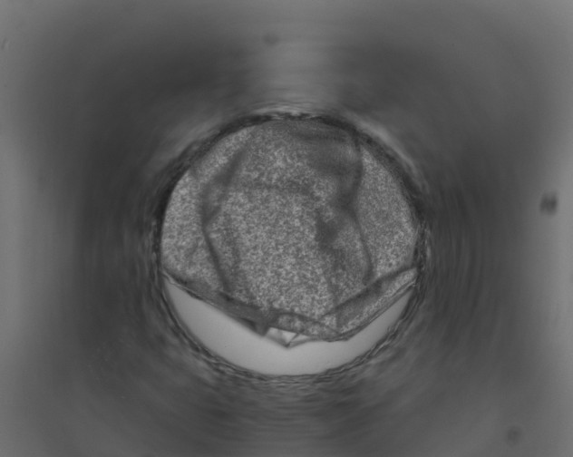 X0000094201399200711241627