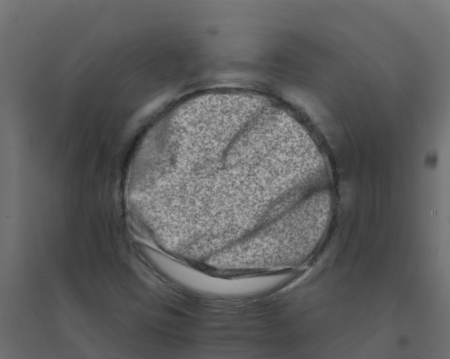 X0000094201403200711241627