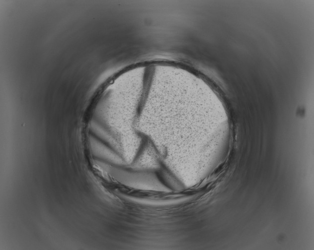 X0000094201404200711241627