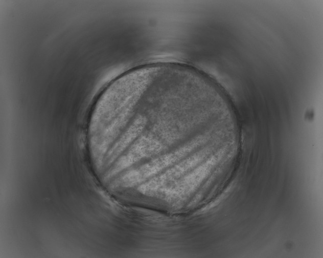 X0000094201405200711241627