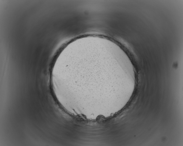 X0000094201408200711241627