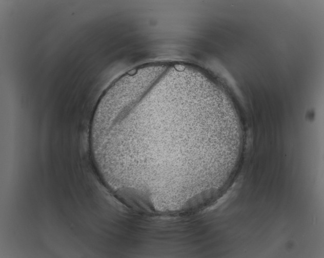 X0000094201409200711241627