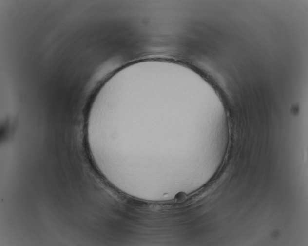 X0000094201411200711241627